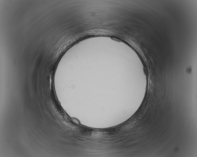 X0000115190109200912091120