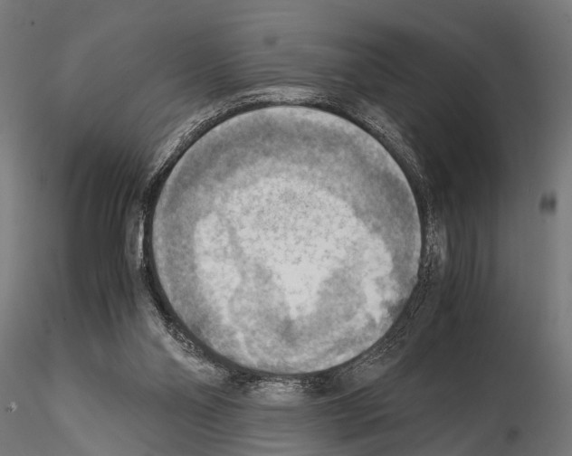 X0000115190110200912091120