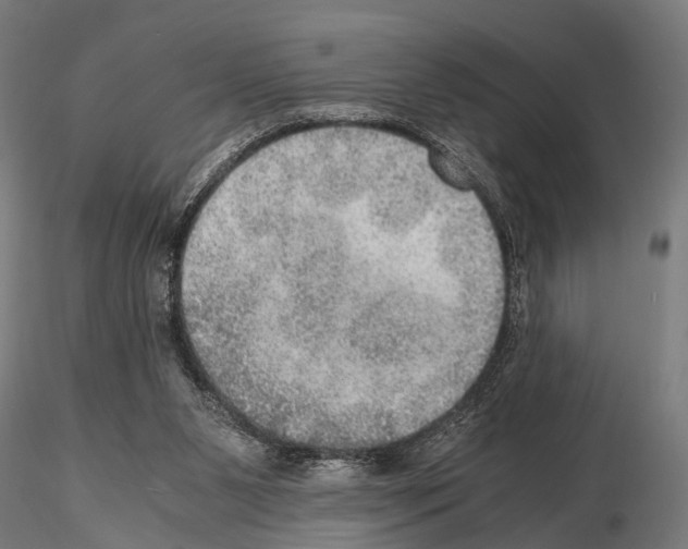 X0000115190111200912091120