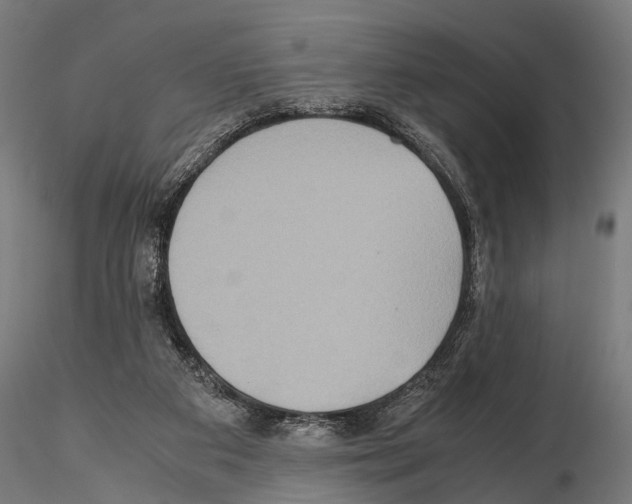 X0000115190113200912091119