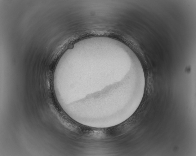 X0000115190114200912091119