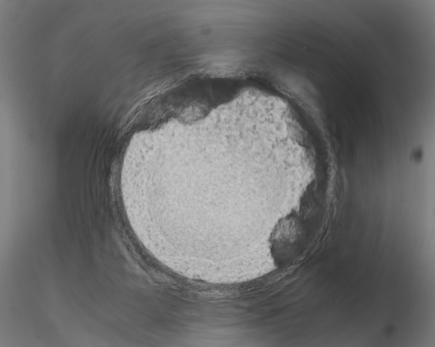 X0000115190115200912091119