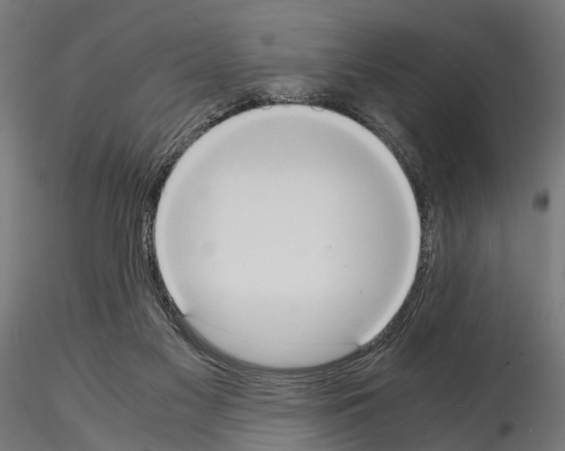 X0000115190117200912091119