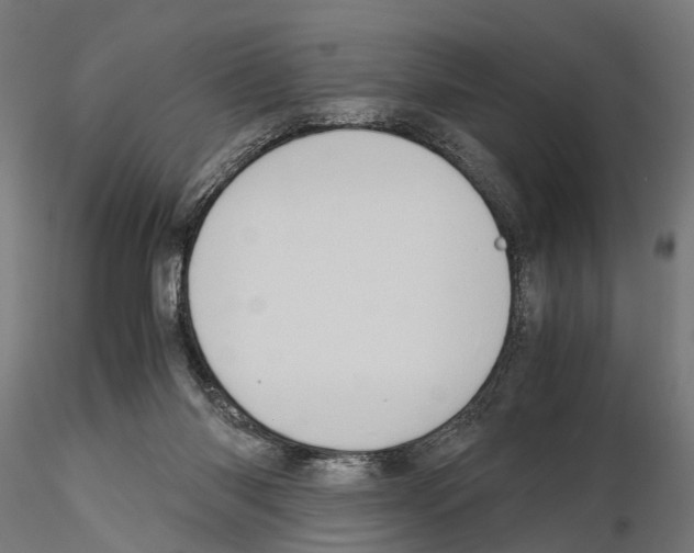 X0000115190118200912091119