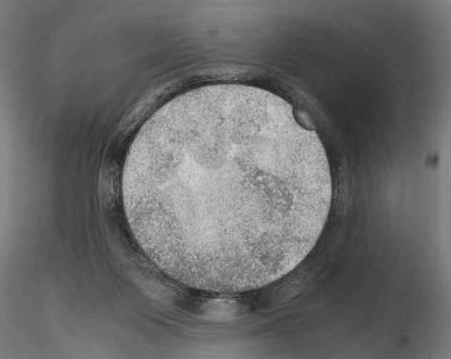 X0000115190119200912091119