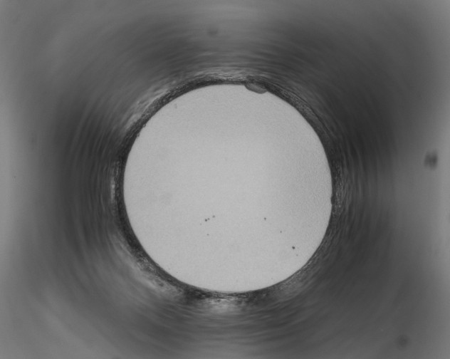 X0000115190120200912091119