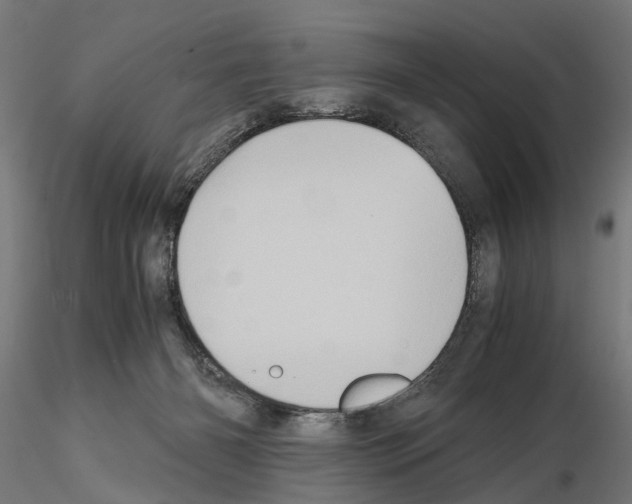 X0000115190126200912091119