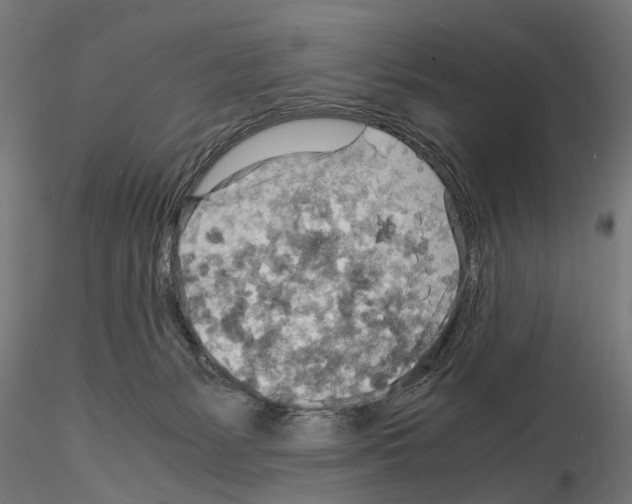 X0000115190127200912091119