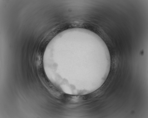 X0000115190130200912091119