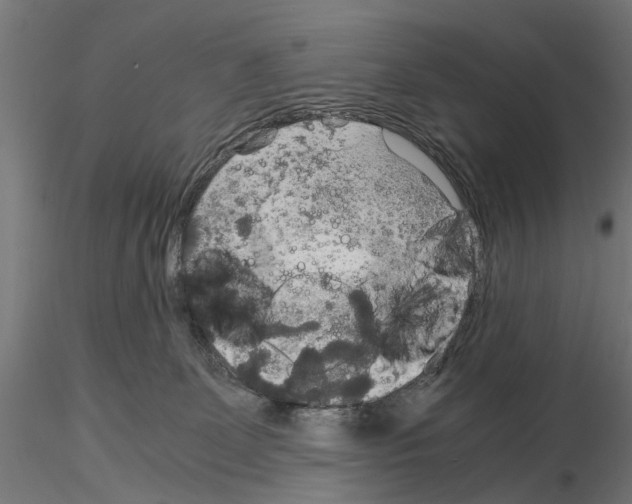 X0000115190131200912091119