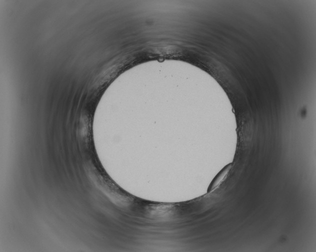 X0000115190132200912091119