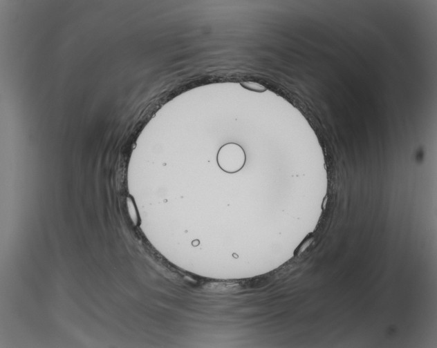 X0000115190133200912091119