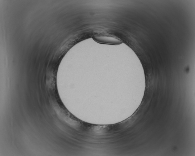 X0000115190136200912091119