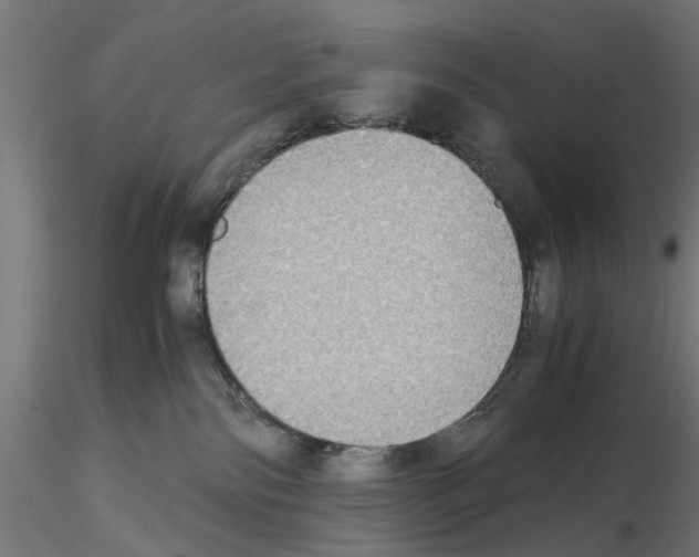 X0000115190138200912091119