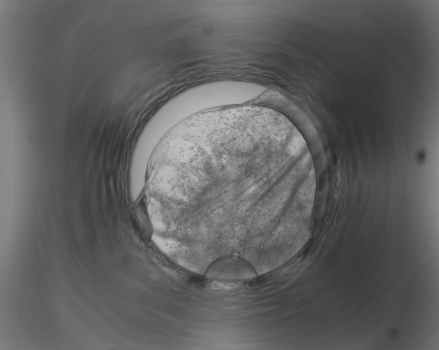 X0000115190139200912091119