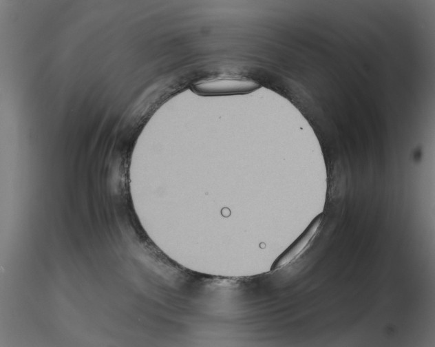 X0000115190140200912091119