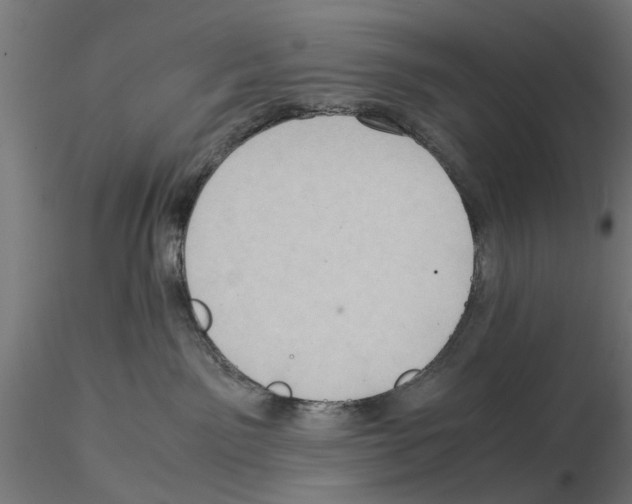 X0000115190141200912091119