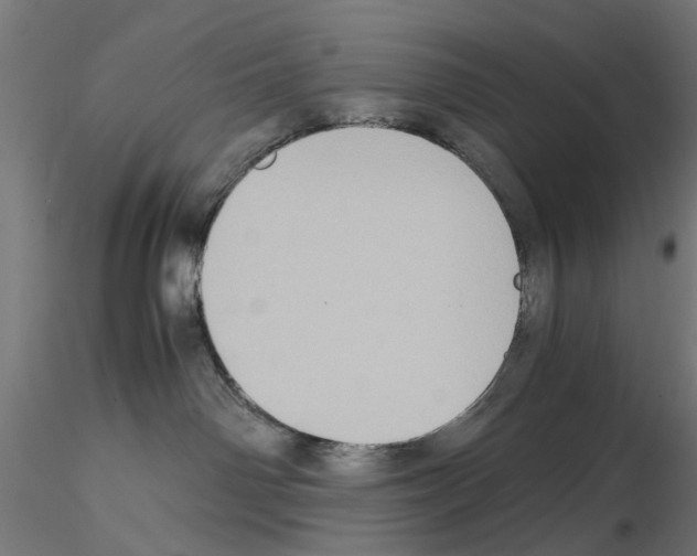 X0000115190142200912091119