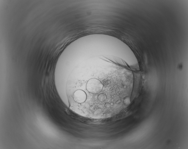 X0000115190143200912091119