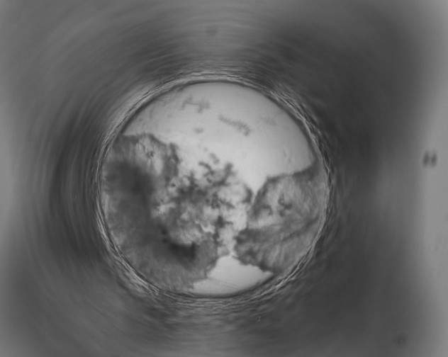 X0000115190145200912091118