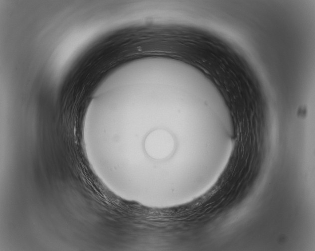 X0000115190146200912091118