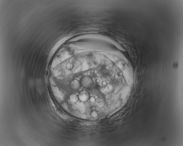 X0000115190147200912091118