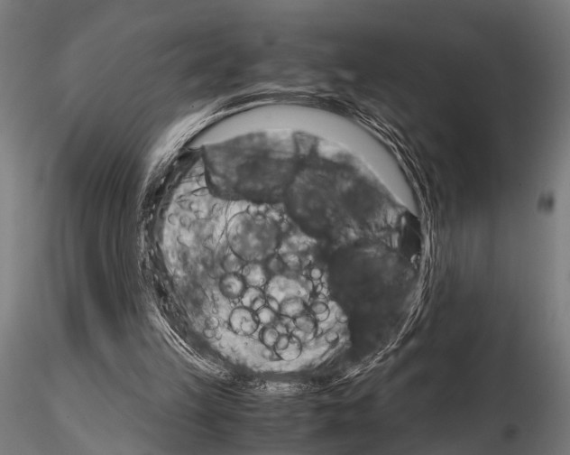 X0000115190149200912091118