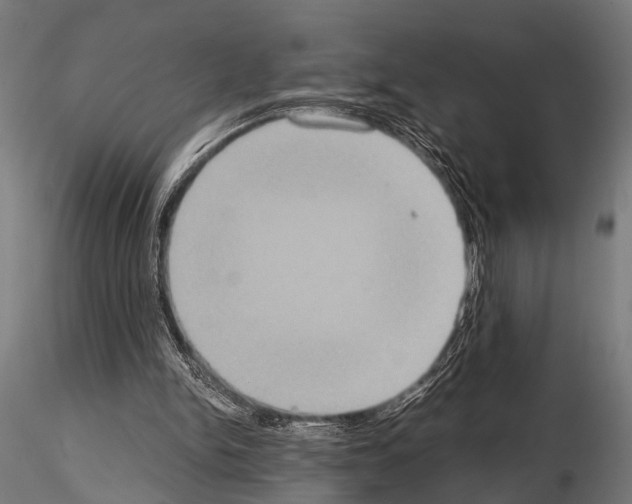 X0000115190150200912091118