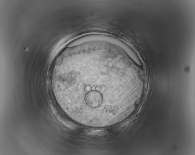 X0000115190151200912091118