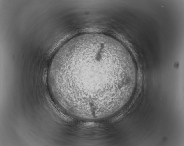 X0000115190153200912091118