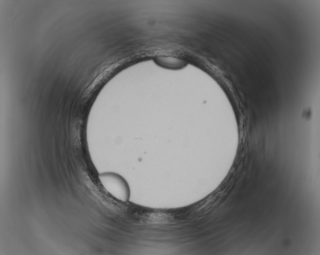 X0000115190154200912091119