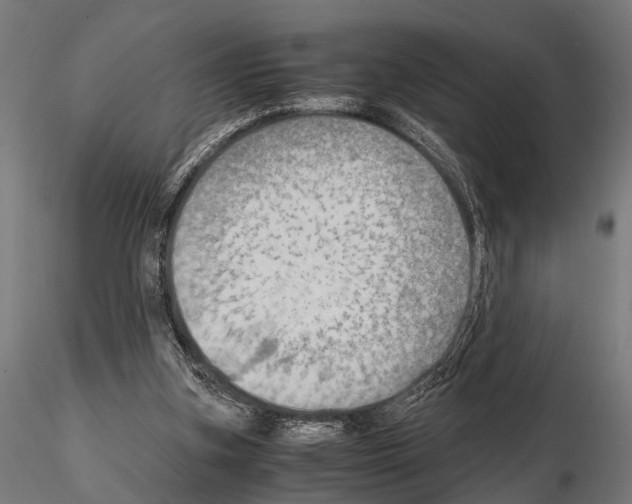 X0000115190155200912091119