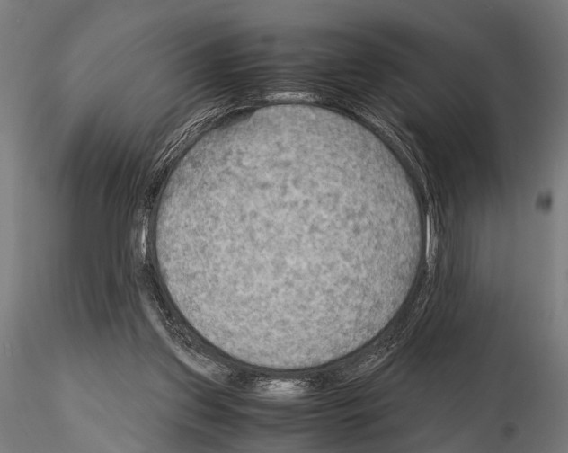 X0000115190157200912091119