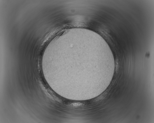 X0000115190158200912091119