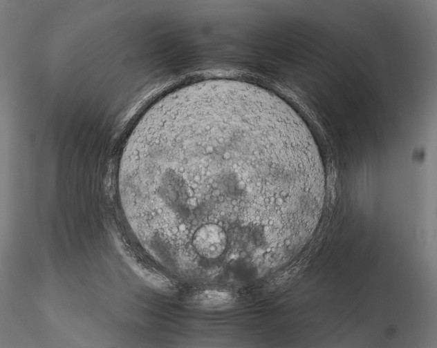 X0000115190159200912091119