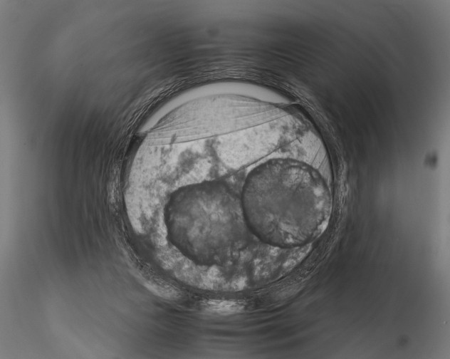 X0000115190161200912091119