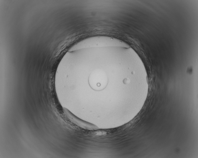 X0000115190162200912091119