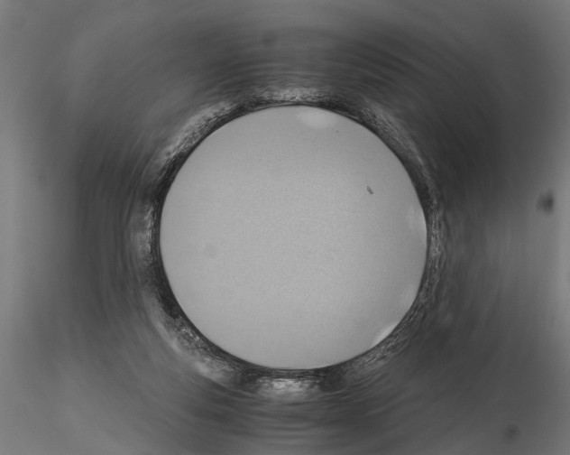 X0000115190163200912091119