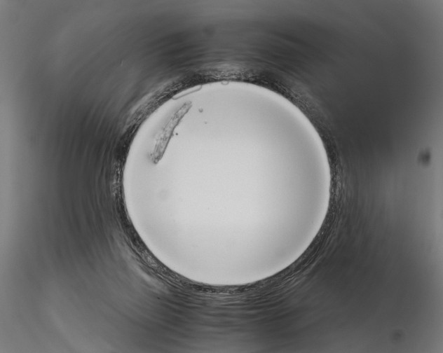 X0000115190165200912091119