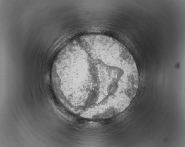 X0000115190166200912091119