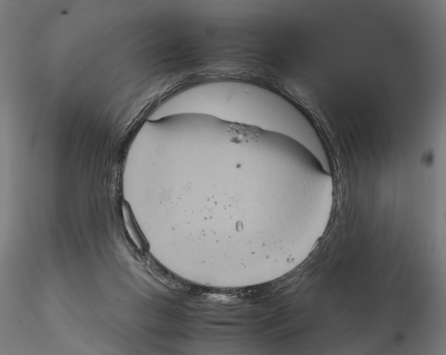 X0000115190167200912091119