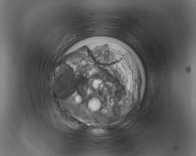 X0000115190169200912091119