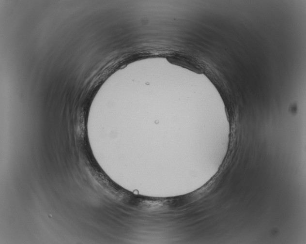 X0000115190170200912091119