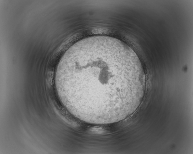 X0000115190171200912091119