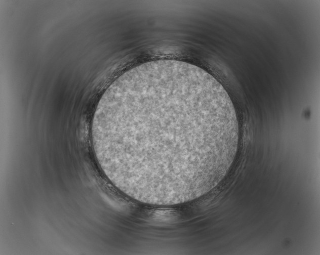 X0000115190173200912091119