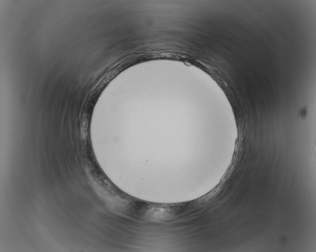 X0000115190174200912091119