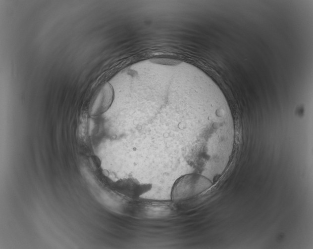 X0000115190175200912091119