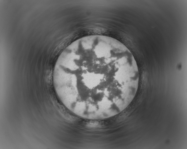 X0000115190177200912091119