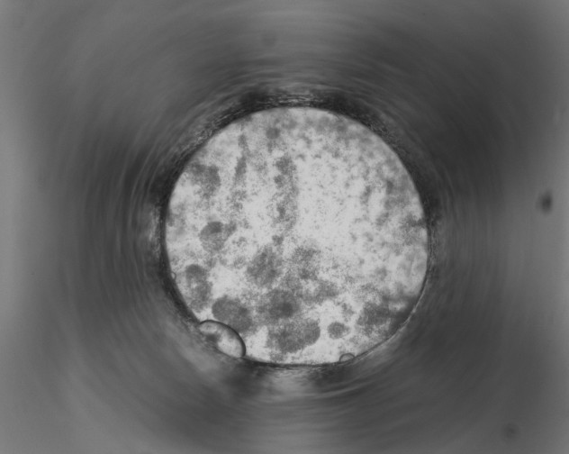 X0000115190178200912091119