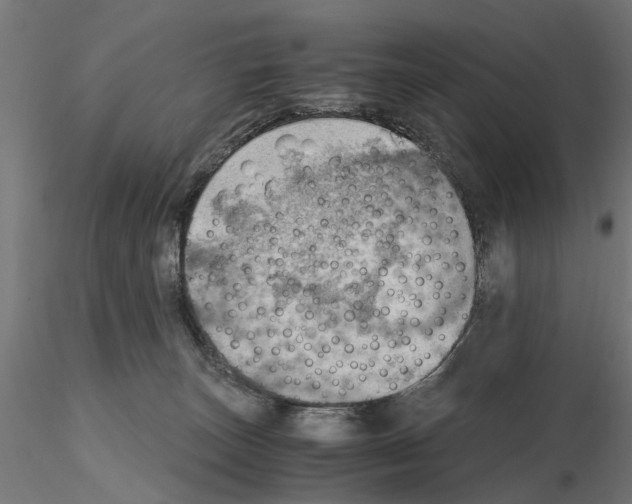 X0000115190179200912091119